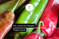 Ms. Junie Hot Pepper Seeds | Capsicum Annuum, Medium Heat