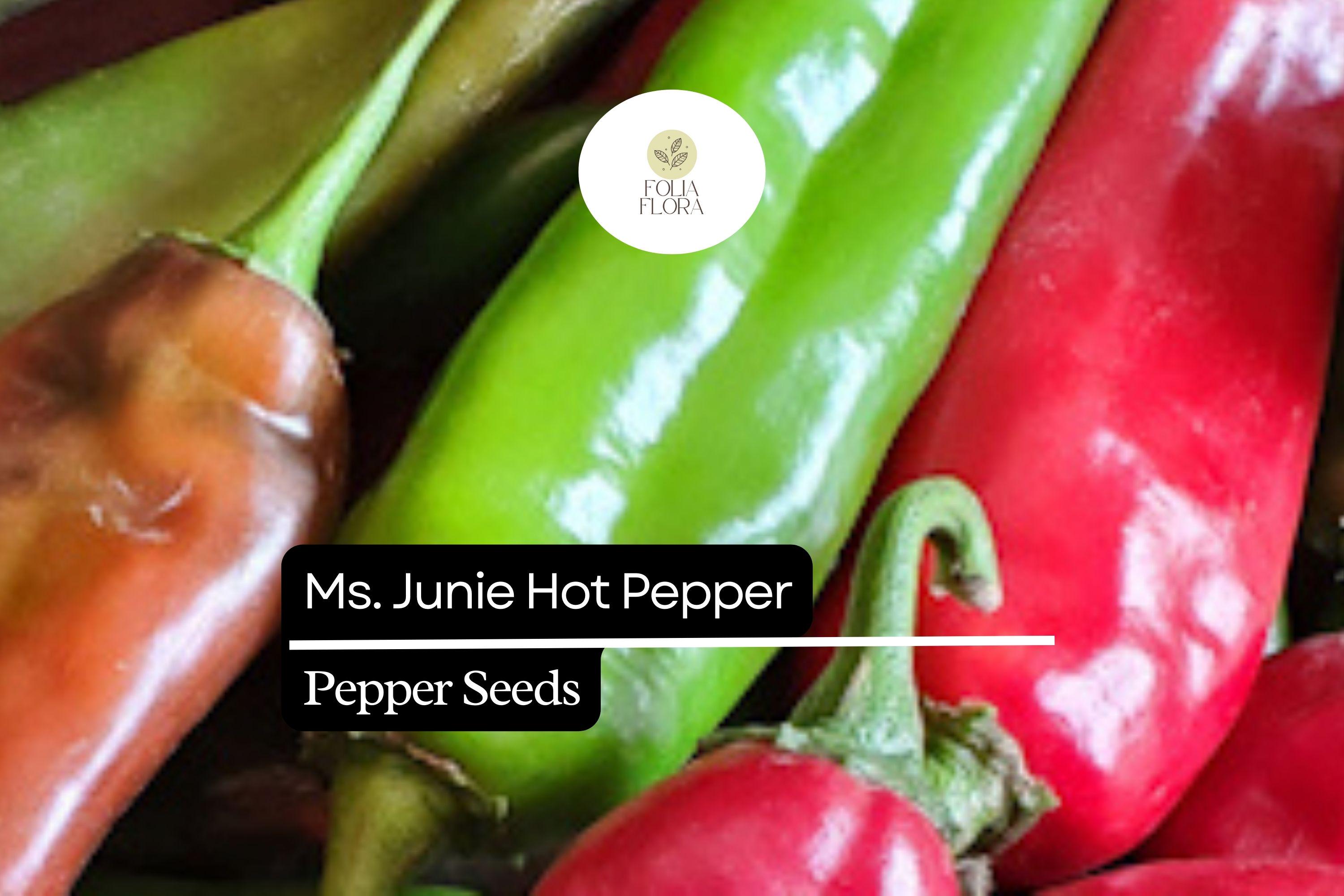 Ms. Junie Hot Pepper Seeds | Capsicum Annuum, Medium Heat