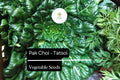 Tatsoi Seeds | 500mg Heirloom Pak Choi, Asian Greens