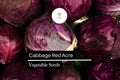 Red Acre Cabbage Seeds | Heirloom, Sweet & Crisp