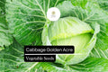 Golden Acre Cabbage Seeds | 1g Heirloom, Sweet & Tender