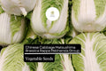 Matsushima Napa Cabbage Seeds | Sweet, Crisp for Kimchi & Stir-Fry