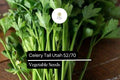 Celery Seeds | Tall Utah Heirloom, Sweet & Crisp (1g Packet)