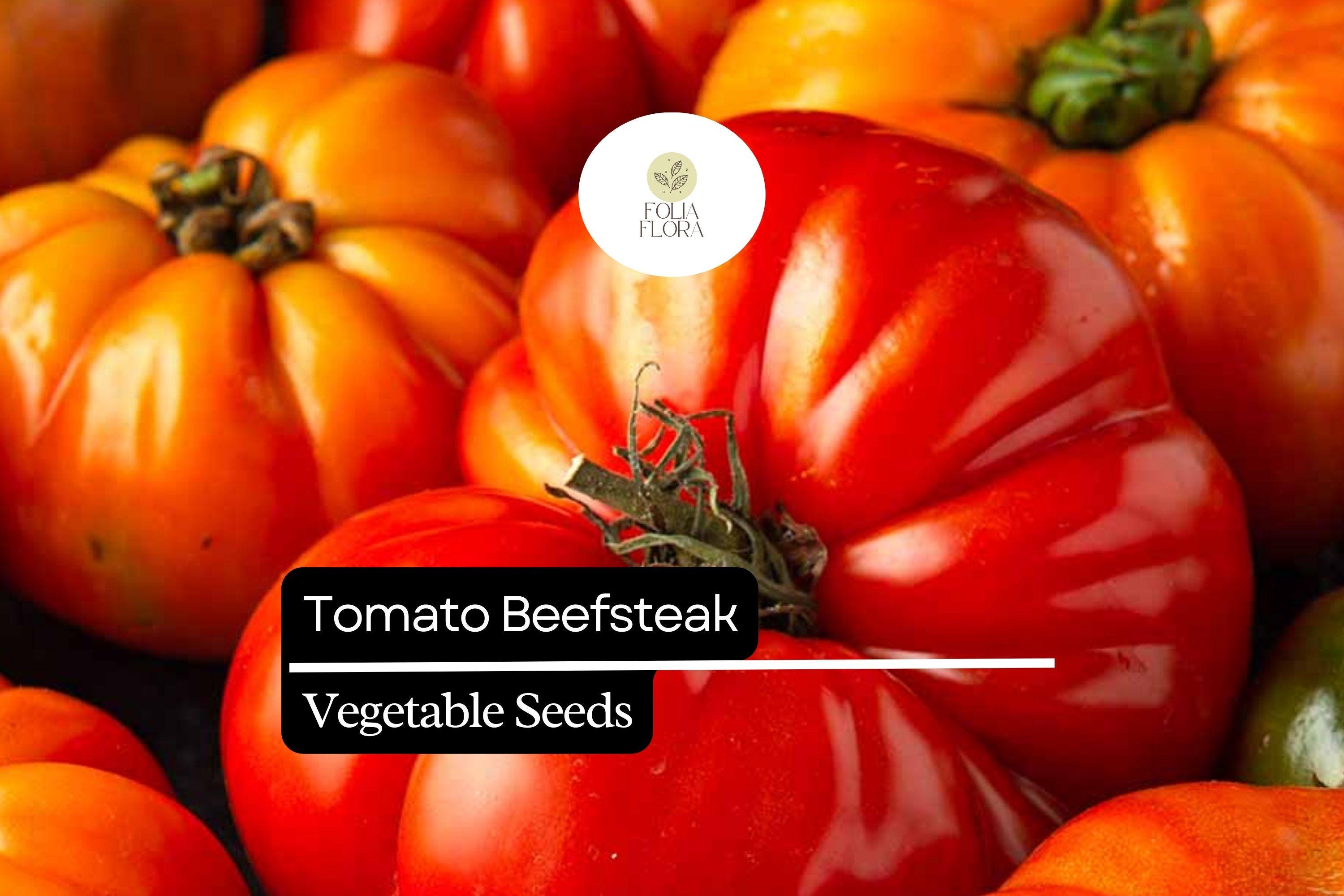 50 Seeds Beefsteak Tomato â€“ Solanum lycopersicum, Juicy Heirloom Tomato Vegetable