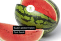 25 Seeds Sweet Watermelon, Juicy Heirloom Fruit, Large Sweet Summer Garden Favorite