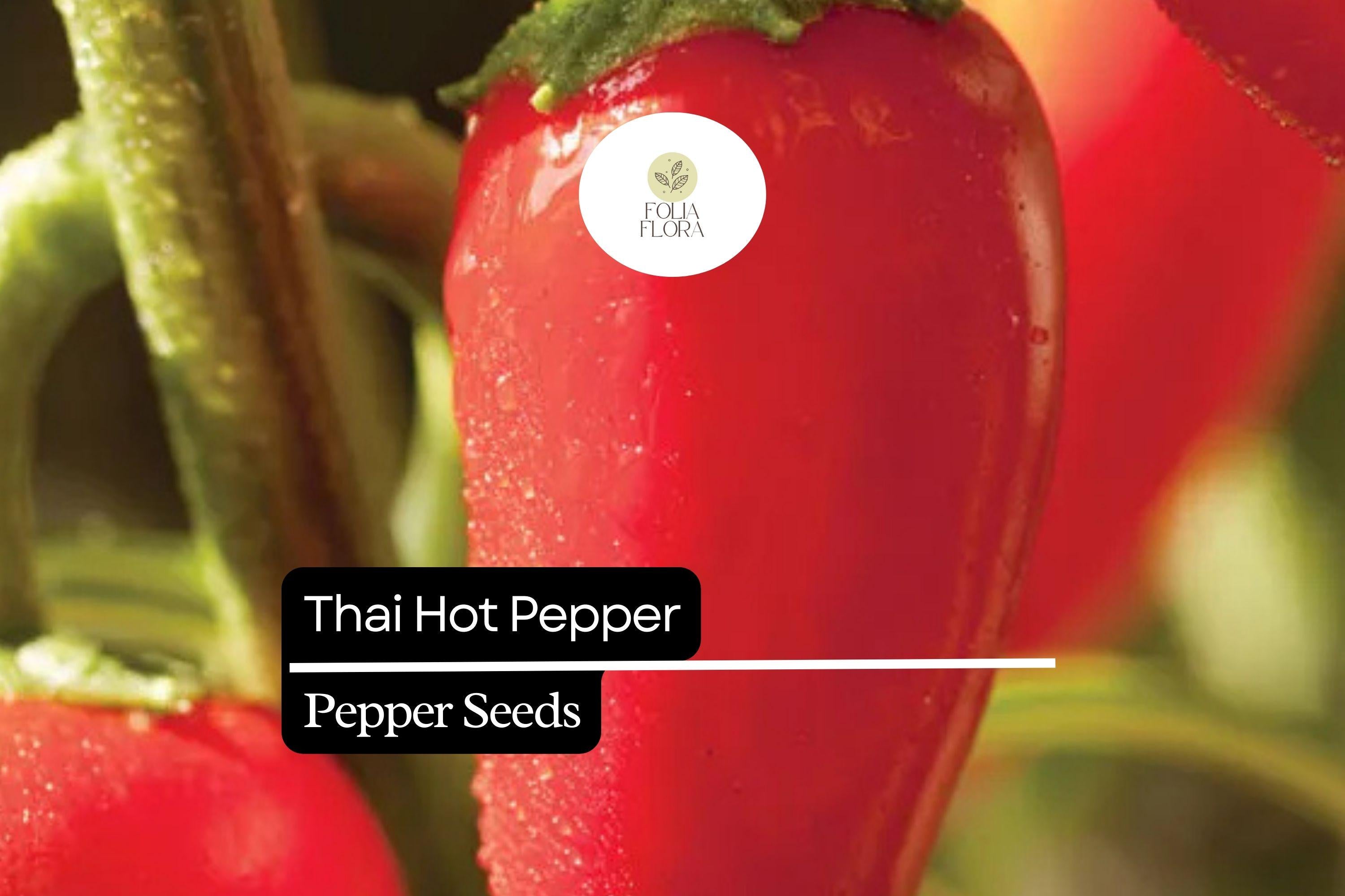 30 Seeds Thai Hot Pepper, Heirloom Spicy Chili Pepper, Compact and High-Yielding