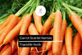 Scarlet Nantes Carrot Seeds, Heirloom Variety (300 Seeds)