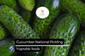 National Pickling Cucumber Seeds | 1g, High-Yield Heirloom