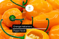 20 Seeds Orange Habanero Pepper â€“ Capsicum chinense, Fiery Heirloom Hot Pepper