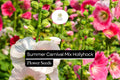 Hollyhock Seeds - Summer Carnival Mix, Pollinator-Friendly Blooms