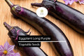 Eggplant Long Purple Seeds – Heirloom Solanum melongena, 8-10 Inch Fruits, Tender Skin, High Yield, Full Sun, USDA Zones 4-9