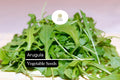 1g Arugula Seeds | Eruca vesicaria | Heirloom, Non-GMO Salad Green | Fast-Growing & Peppery Flavor
