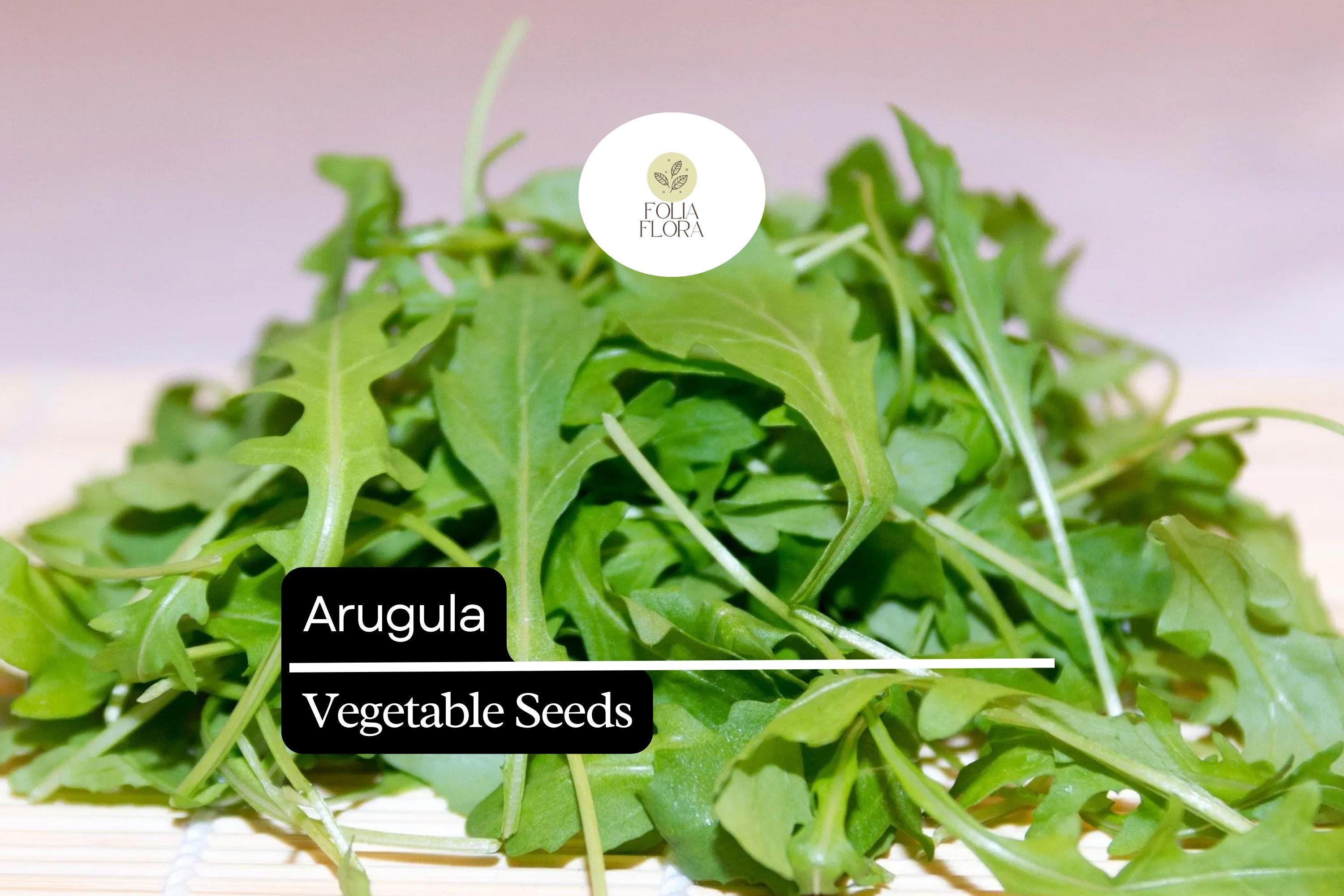 1g Arugula Seeds | Eruca vesicaria | Heirloom, Non-GMO Salad Green | Fast-Growing & Peppery Flavor