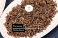 100 Seeds Caraway (Carum carvi) â€“ Aromatic Herb for Culinary