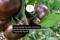 Cherokee Purple Tomato Seeds - Heirloom, Deep Purple, Rich Flavor, Indeterminate Solanum lycopersicum, 30 Seeds