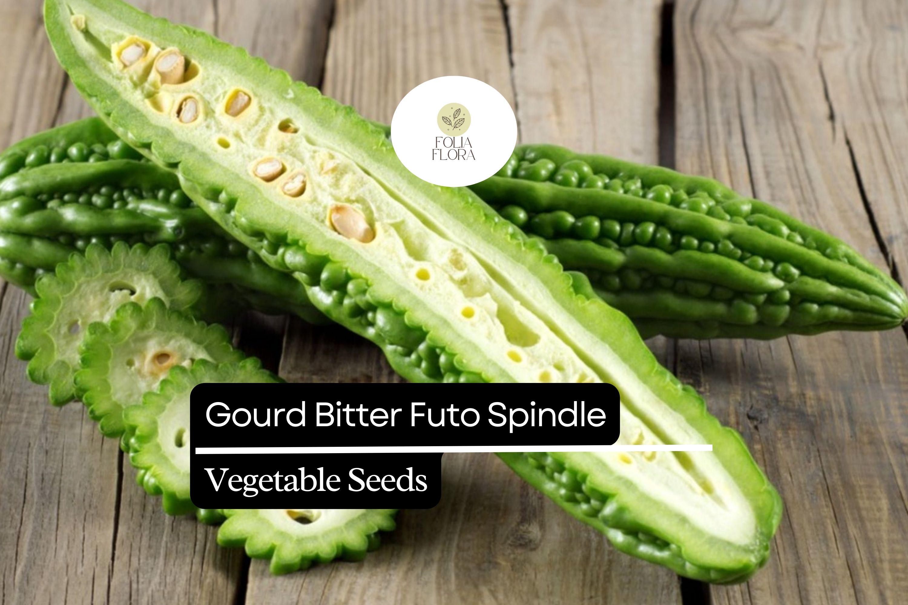 Bitter Gourd Seeds | Futo Spindle Heirloom Variety (5 Seeds)