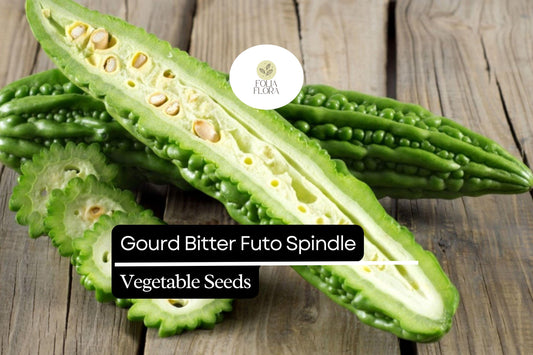Bitter Gourd Seeds | Futo Spindle Heirloom Variety (5 Seeds)