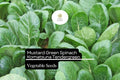 Komatsuna Seeds | Heirloom Asian Greens, Mild Flavor (500mg)