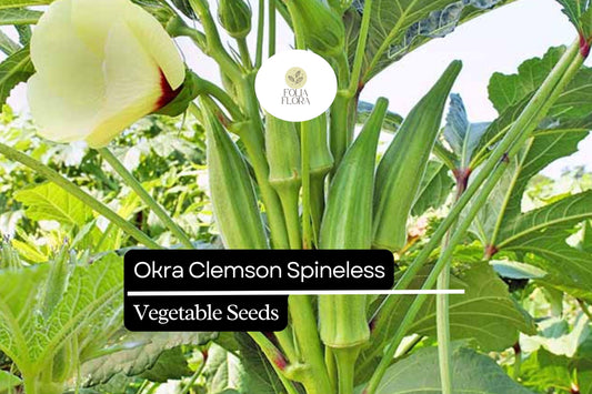 Clemson Spineless Okra Seeds | Heirloom, Non-GMO, High Yield