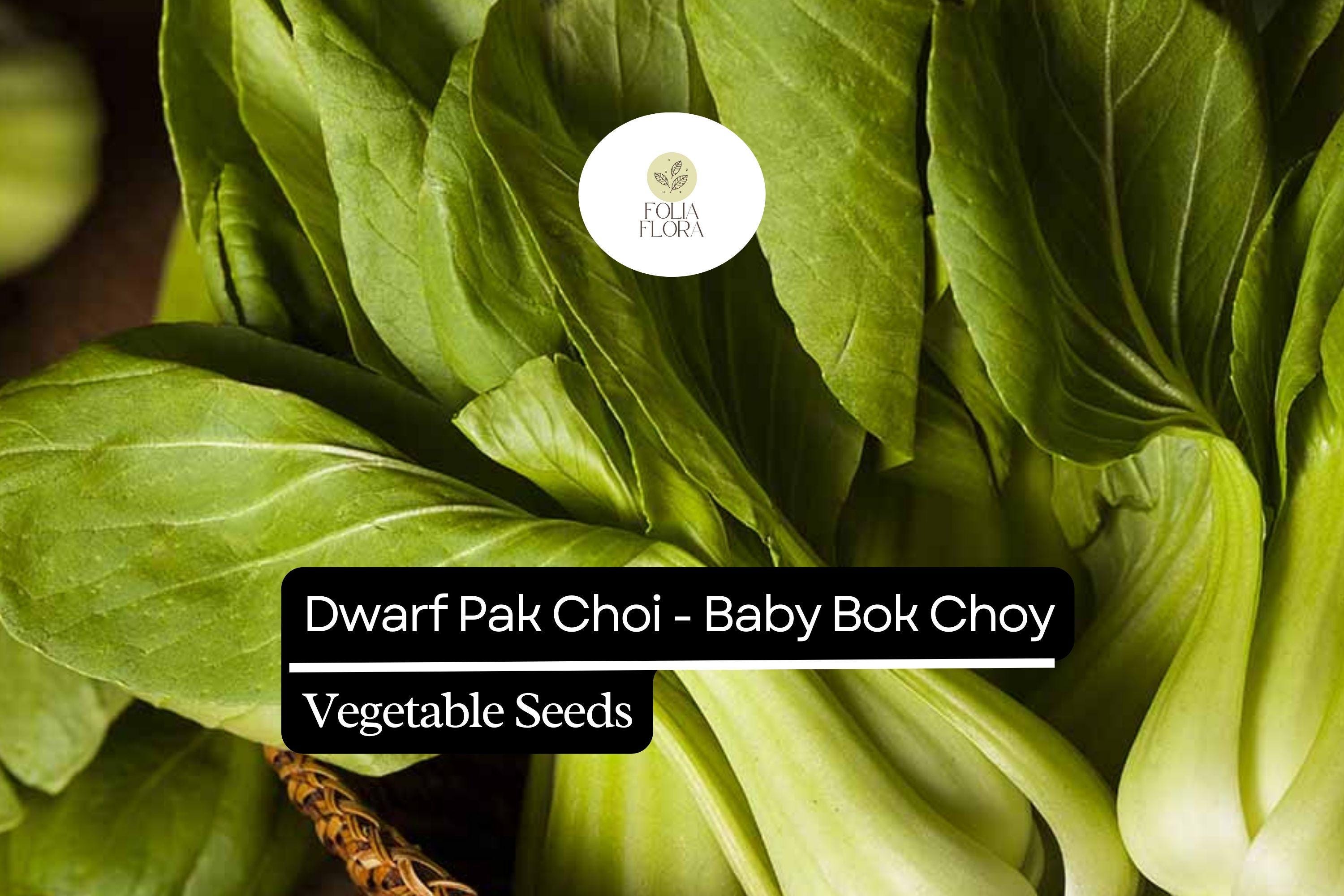Dwarf Pak Choi Seeds | 500mg Heirloom, Non-GMO