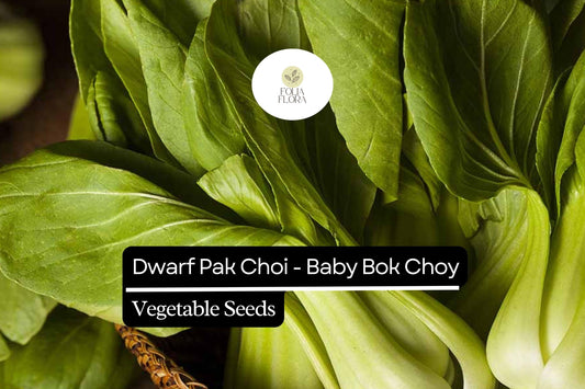 Dwarf Pak Choi Seeds | 500mg Heirloom, Non-GMO