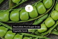 Sugar Snap Pea Seeds | Heirloom Pisum sativum, 1/4 oz