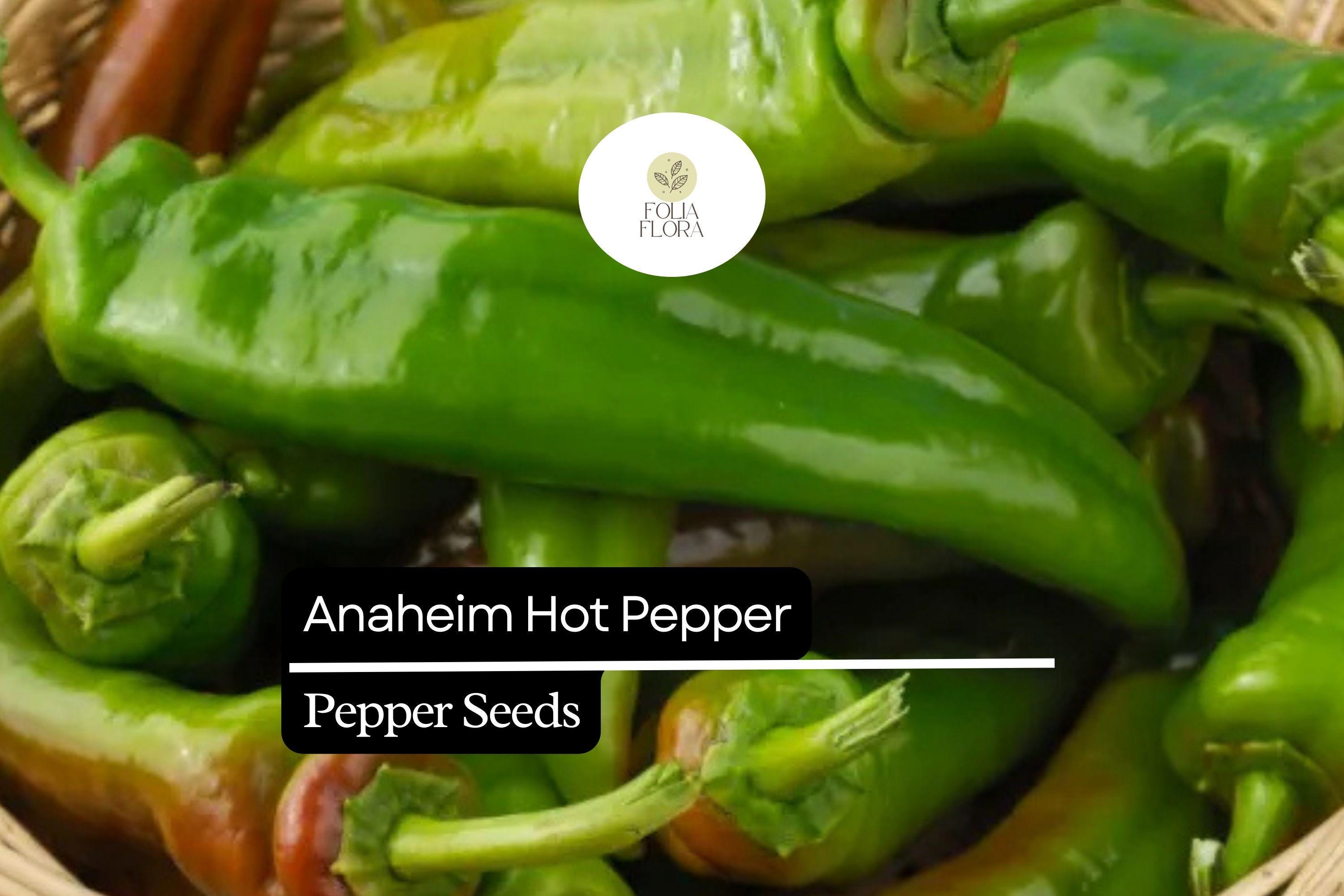 Anaheim Hot Pepper Seeds | Mild Heat, Heirloom, Non-GMO