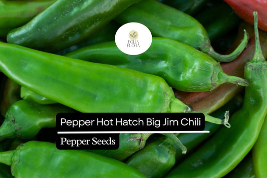 Big Jim Hatch Chili Pepper Seeds | Non-GMO, Mild-Medium Heat (300mg)