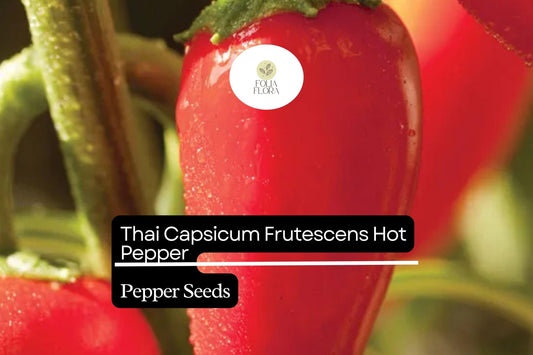 Thai Hot Pepper Seeds | Capsicum frutescens, Non-GMO