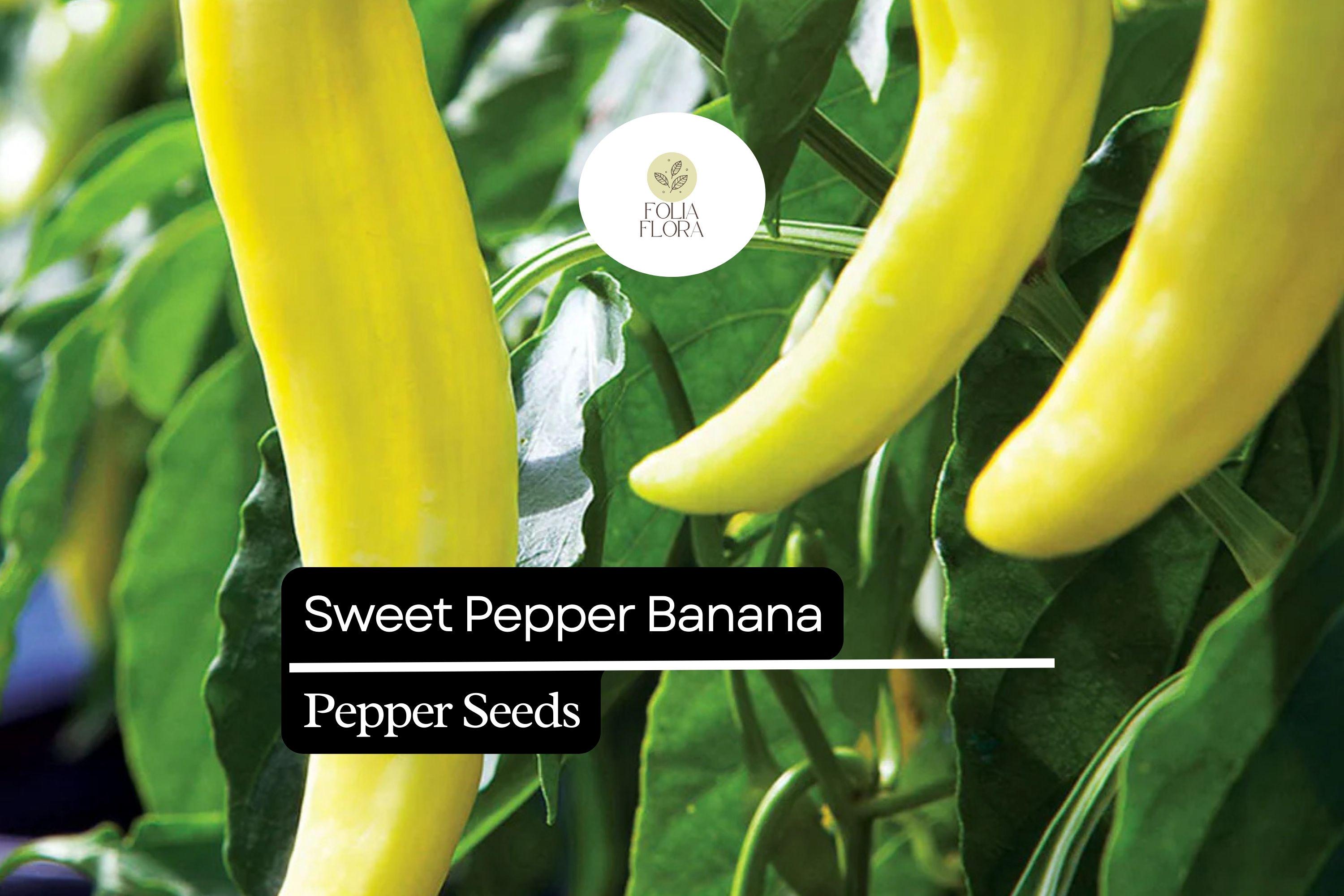 Sweet Banana Pepper Seeds | Capsicum Annuum, Non-GMO