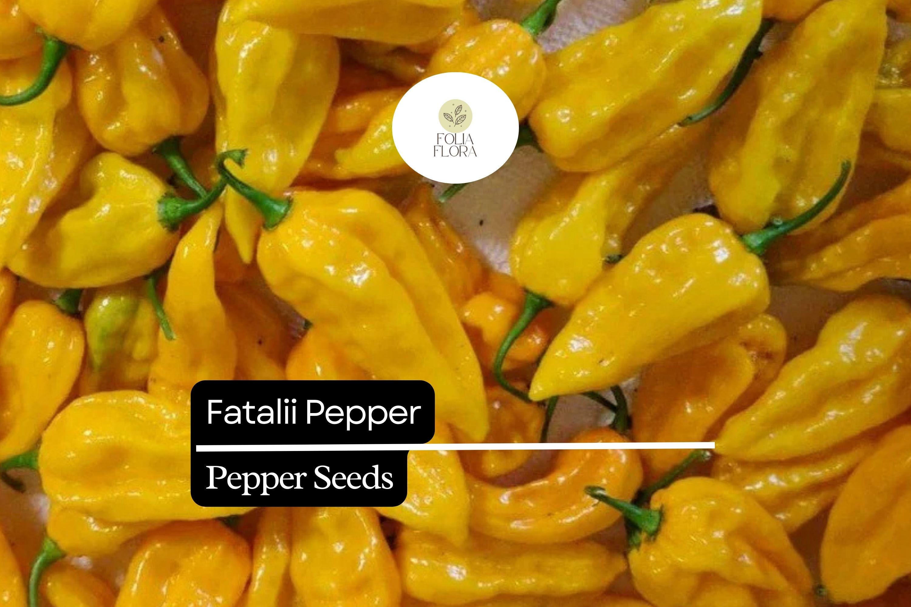 5 Seeds Fatalii Pepper, Capsicum chinense, Rare Fiery Yellow Chili for Exotic Hot Sauces