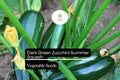 Dark Green Zucchini Seeds | High-Yield Summer Squash (1g)