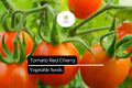 Heirloom Red Cherry Tomato Seeds (100mg) | Sweet Salad Vegetable, Non-GMO