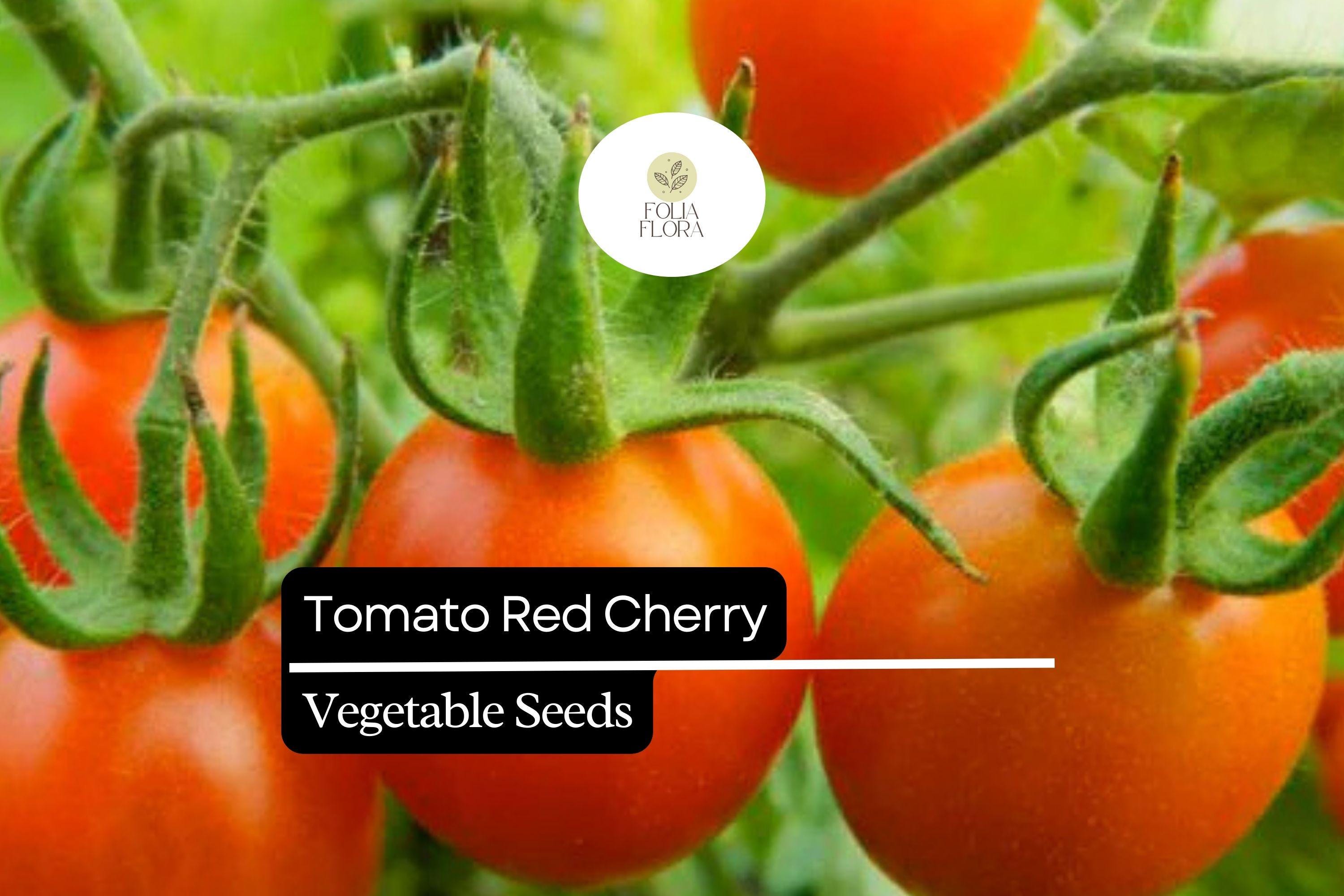 Heirloom Red Cherry Tomato Seeds (100mg) | Sweet Salad Vegetable, Non-GMO