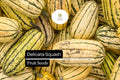 20 Seeds Delicata Squash (Cucurbita pepo) â€“ Sweet, Nutty Flavor, Easy-to-Grow Winter Squash