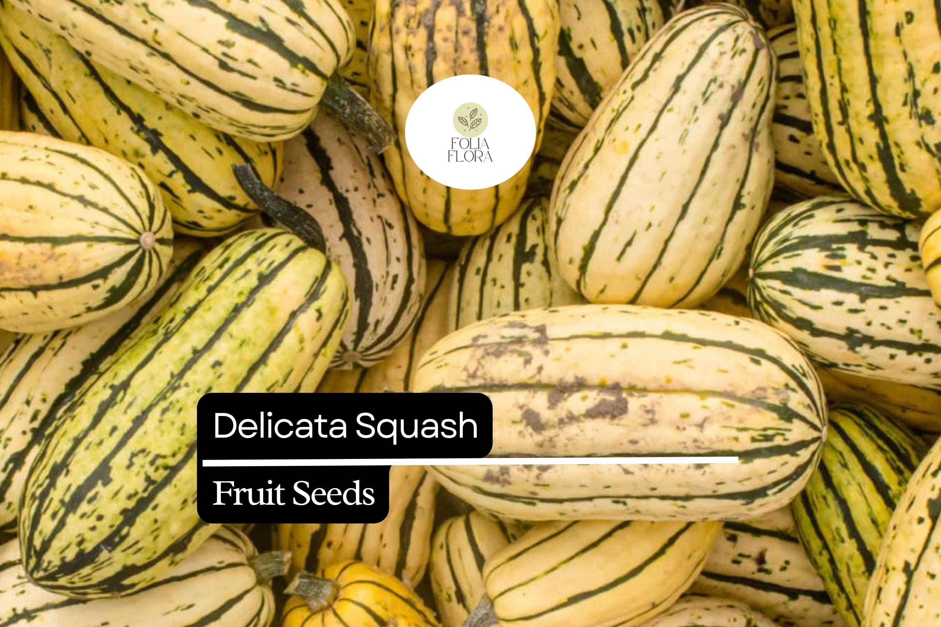 20 Seeds Delicata Squash (Cucurbita pepo) â€“ Sweet, Nutty Flavor, Easy-to-Grow Winter Squash