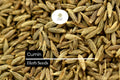250 Seeds Cumin (Cuminum cyminum) â€“ Aromatic Spice Herb for Cooking