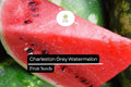 20 Seeds Charleston Grey Watermelon (Citrullus lanatus) â€“ Sweet, Juicy, Classic Summer Favorite