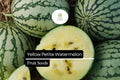 5 Seeds Yellow Petite Watermelon (Citrullus lanatus) â€“ Sweet, Small, Yellow-Fleshed Watermelon Variety