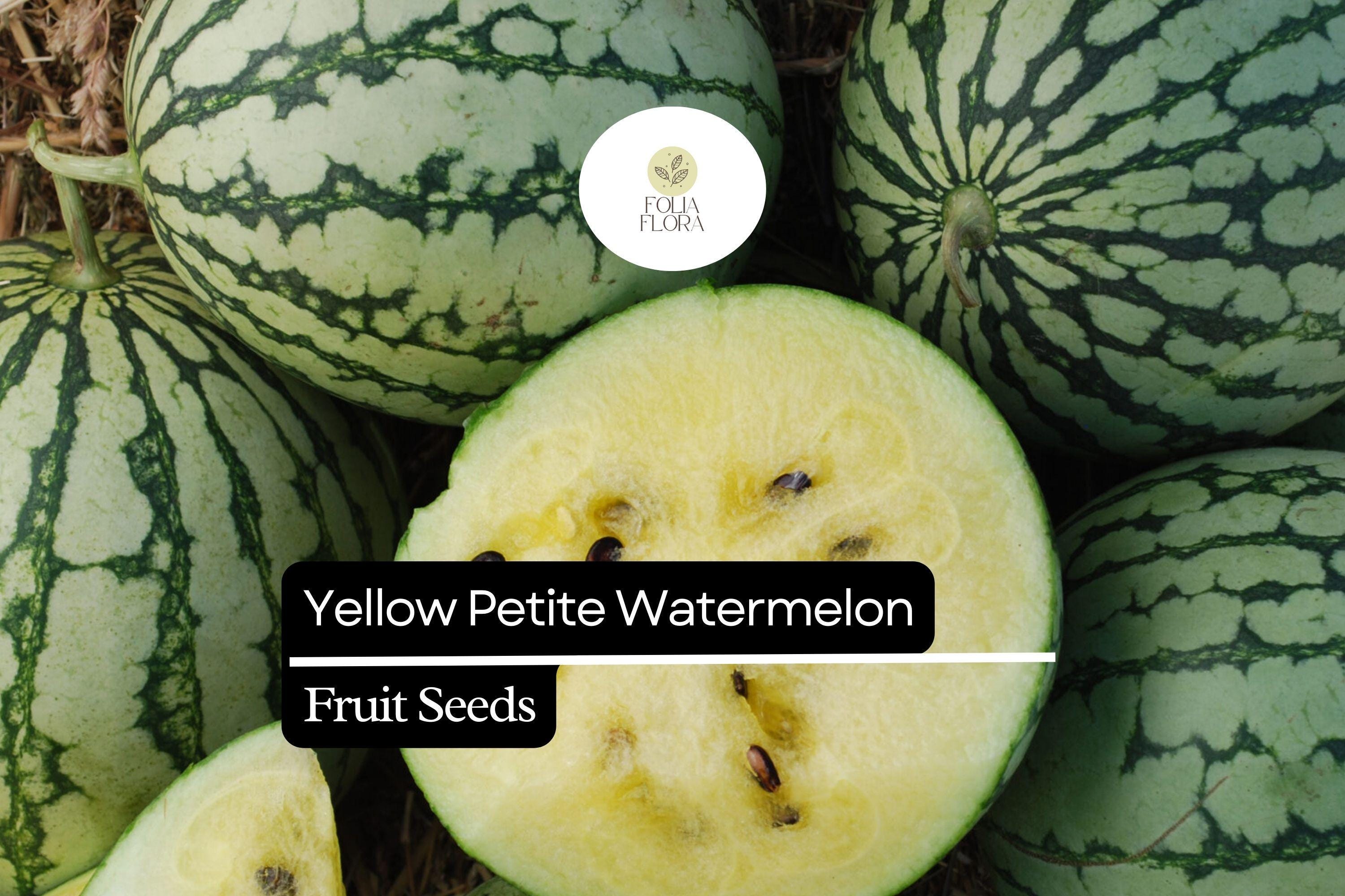 5 Seeds Yellow Petite Watermelon (Citrullus lanatus) â€“ Sweet, Small, Yellow-Fleshed Watermelon Variety