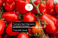 San Marzano Tomato Seeds (100mg) | Heirloom, Non-GMO, Italian Cuisine
