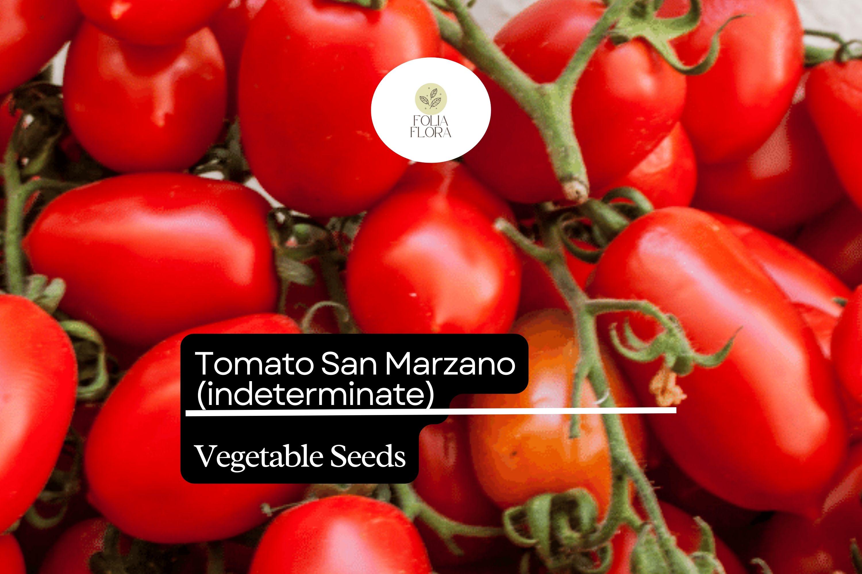 San Marzano Tomato Seeds (100mg) | Heirloom, Non-GMO, Italian Cuisine