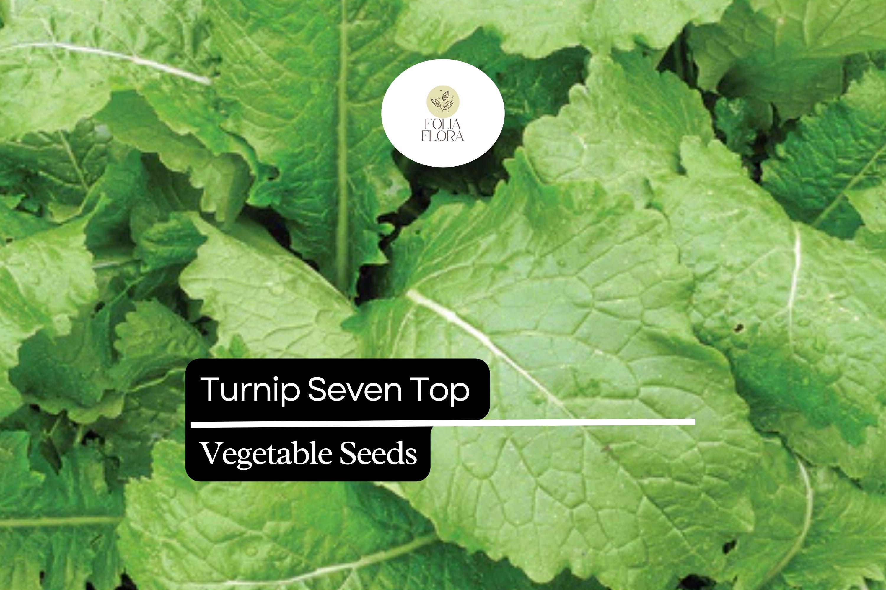 Turnip Seven Top Seeds (1g) | Heirloom Leafy Greens for Salads