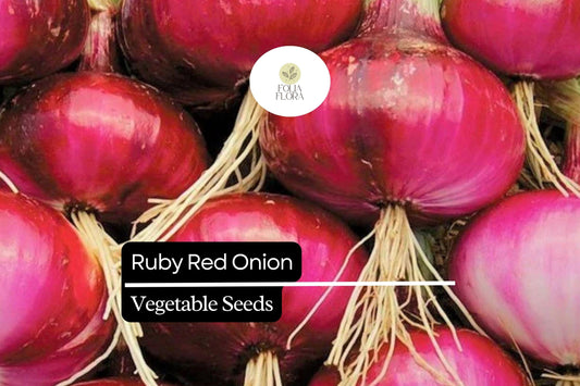 100 Ruby Red Onion Seeds â€“ Sweet Garden Vegetable
