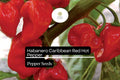 Caribbean Red Habanero Pepper Seeds | Spicy, High Yield (250mg)
