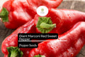 Giant Marconi Red Pepper Seeds | Sweet, Smoky, High Yield