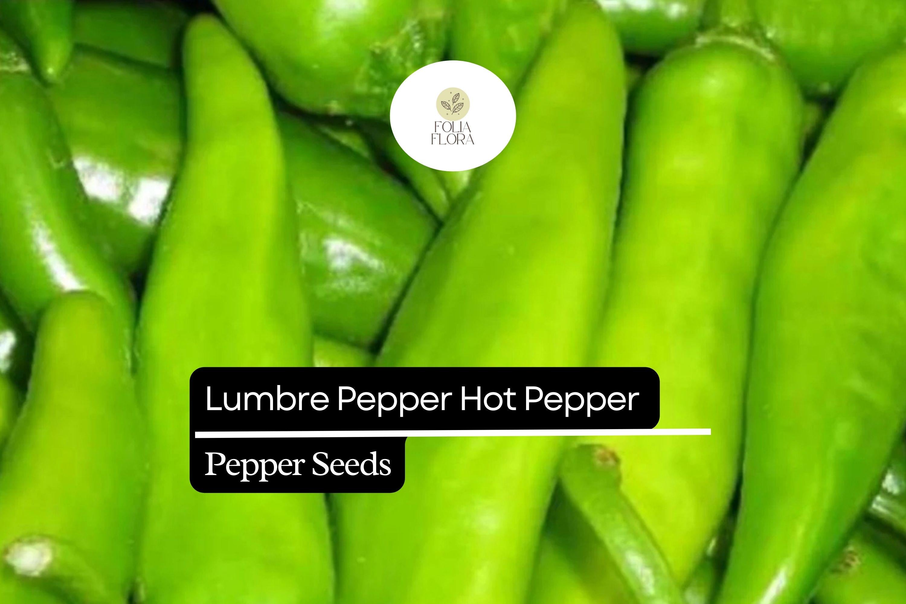 Lumbre Hot Pepper Seeds | Capsicum Annuum, Compact Plant