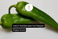 Hatch Rattlesnake Hot Pepper Seeds | Smoky, Medium-High Heat