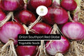 Southport Red Globe Onion Seeds | Heirloom Allium Cepa, 250mg