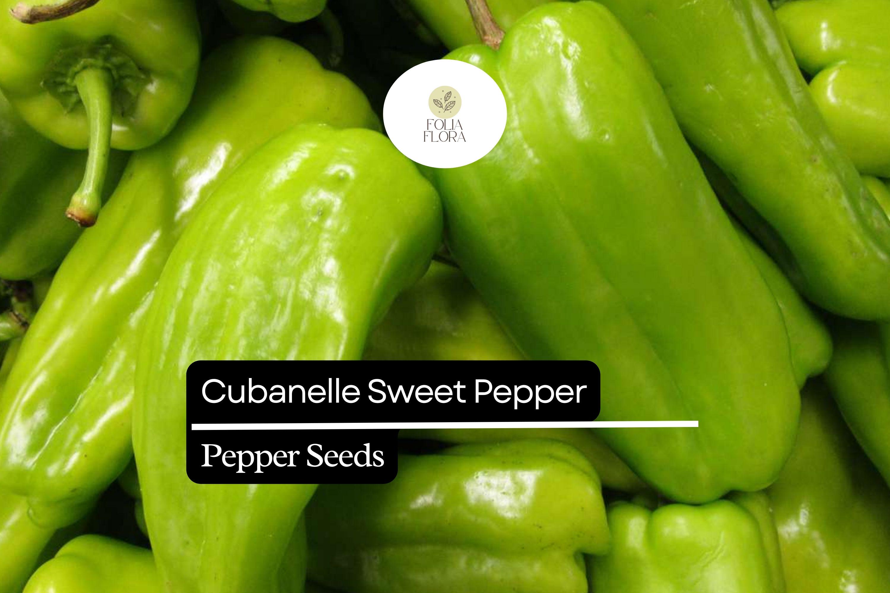 Cubanelle Sweet Pepper Seeds | Mild & Sweet, Capsicum Annuum